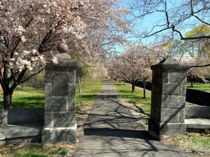 A park in Nutley